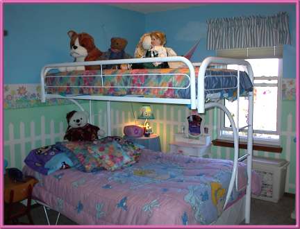Kayley's bunk bed/animal sanctuary