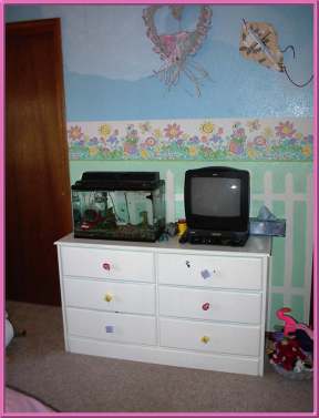 Kayley's dresser, TV, and fish tank.
